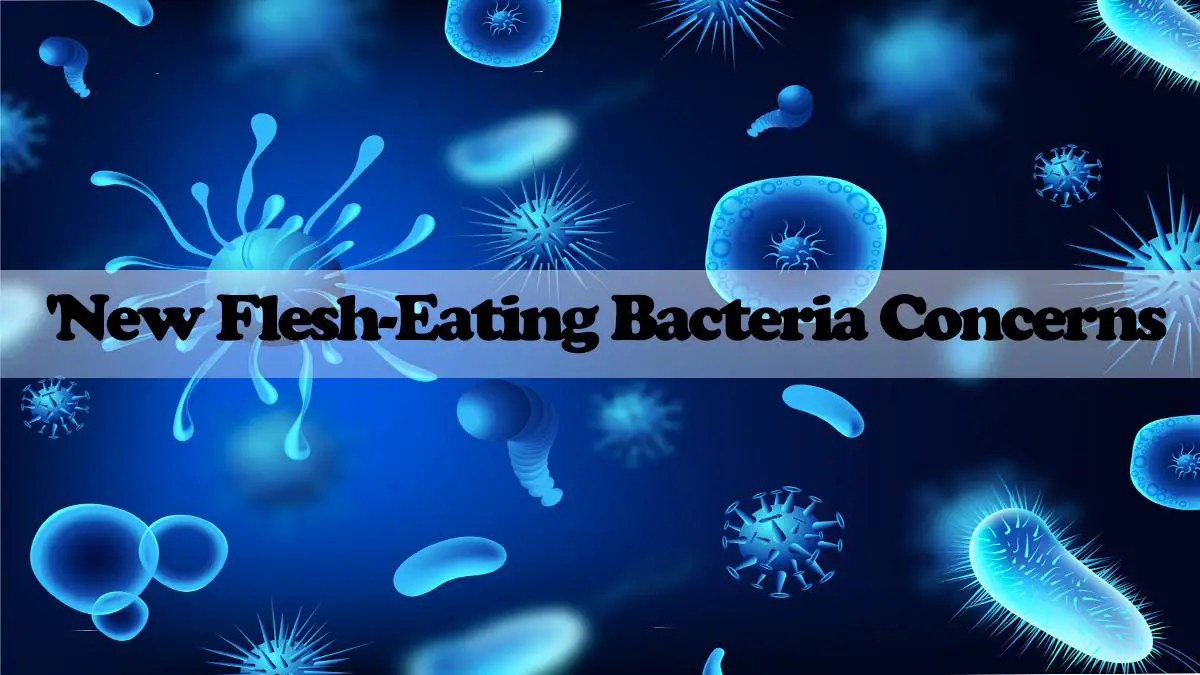 Emerging Worries: The Latest Developments in Flesh-Eating Bacteria Trends