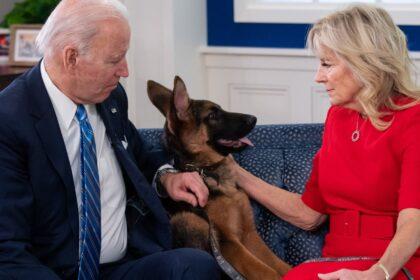 Commander, Biden's German Shepherd, and its 10 Biting Incidents